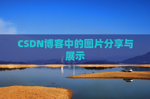 CSDN博客中的图片分享与展示